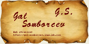 Gal Somborčev vizit kartica